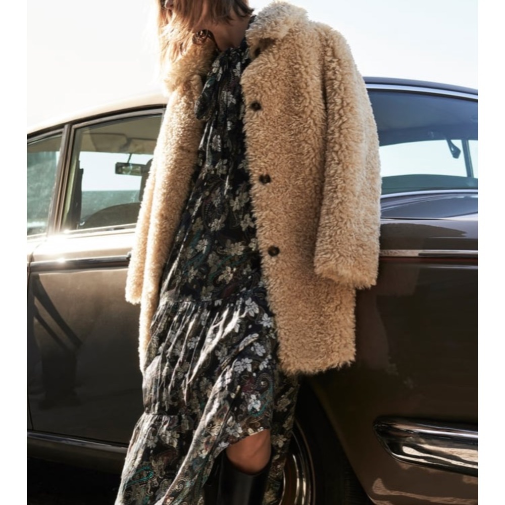 Zara limited edition maxi dress